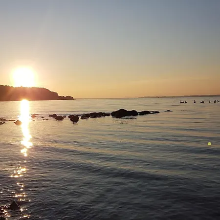 Seeblick-